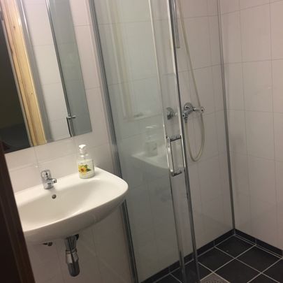 Room. Bathroom shower.